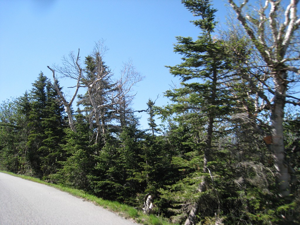 Mt Washington NH 2010 0195.jpg - Mt Washington NH. On May 23 2010 drove the road to the summit. Looked at the views, took some pictures, and drove back down.